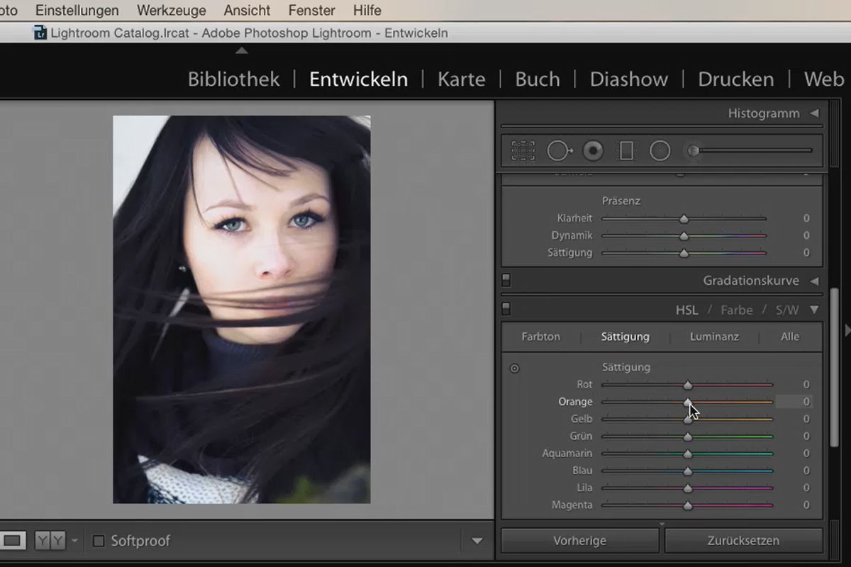 Lightroom para principiantes y usuarios de nivel intermedio: 13 - Práctica - 13.3 - Corrección de las dominantes de color