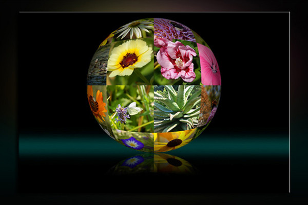 Photoshop-åtgärd: Fotoboll