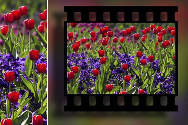 Photoshop-åtgärd: Diafilm