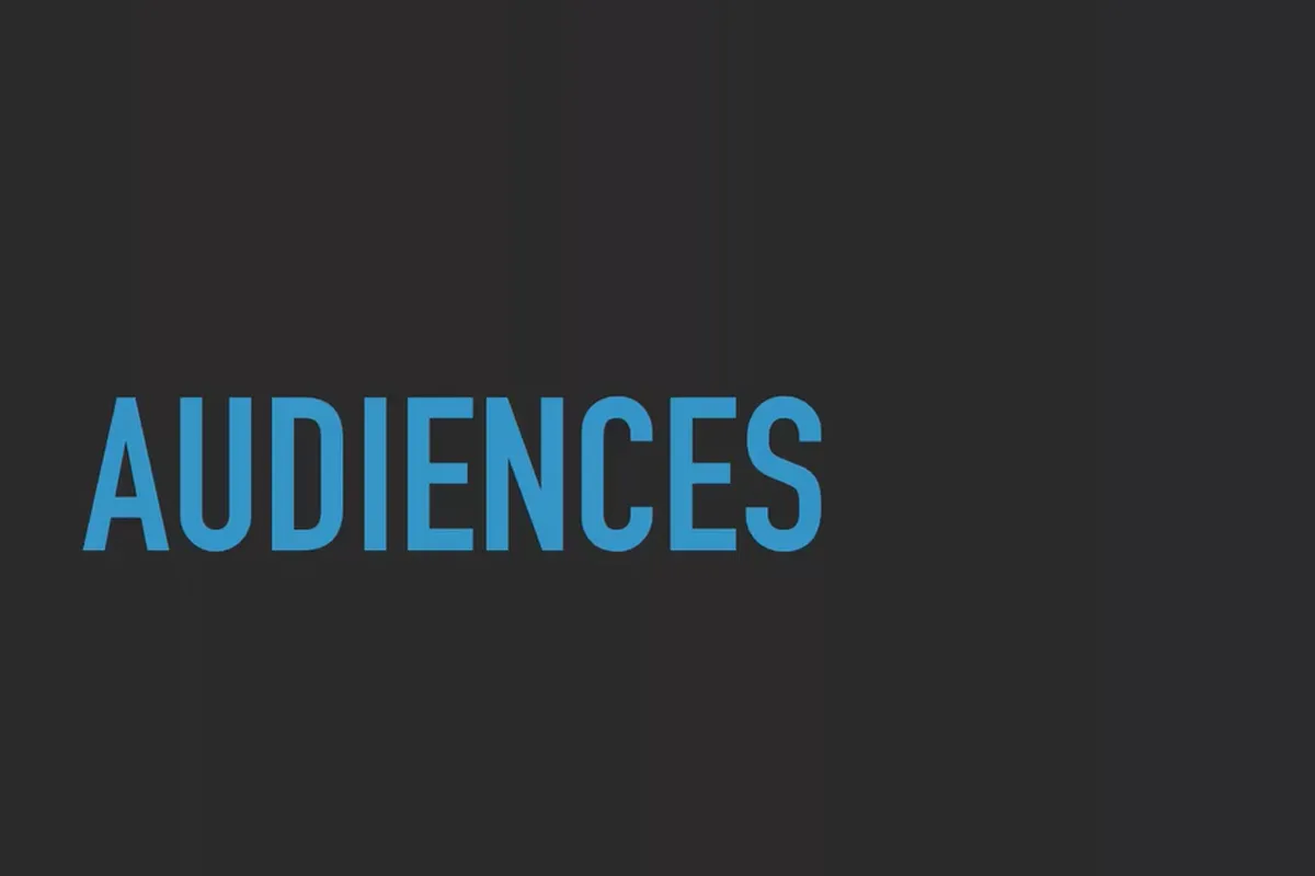 Kundenakquise über Facebook und Google AdWords: 7.3 Struktur der Audiences