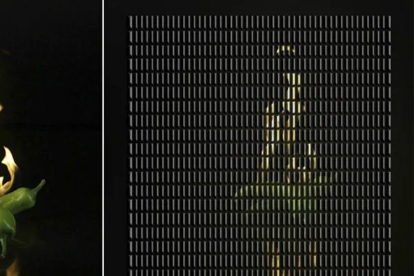 Acțiune Photoshop: 1250 plăci