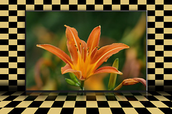 Rutigt bakgrund för Photoshop och Photoshop Elements.