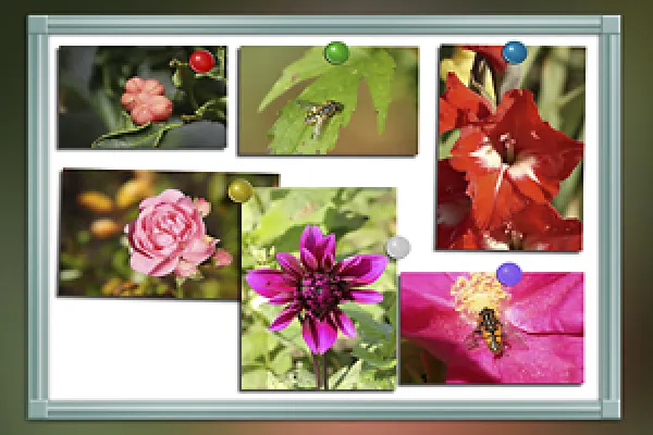 Tablă albă pentru Photoshop și Photoshop Elements.
