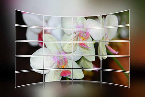 Photoshop-åtgärd: Bilder väggåtgärd för Photoshop Elements