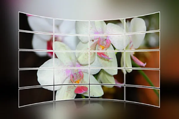 Acțiune Photoshop: Acțiune perete de imagini pentru Photoshop Elements