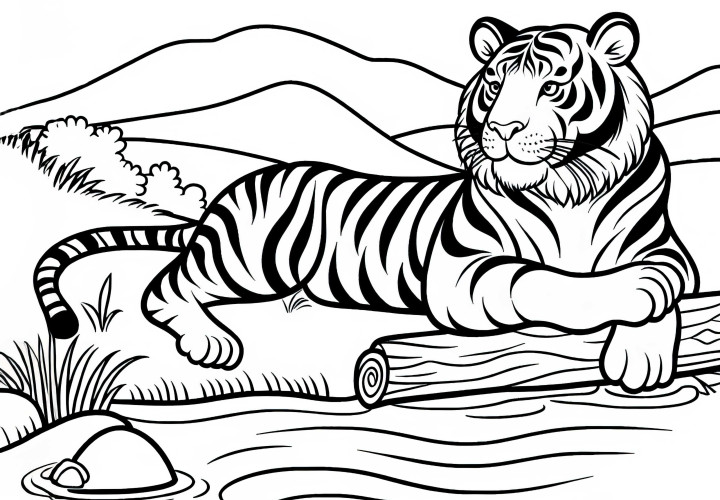 Tigre a la orilla de un río: Plantilla para colorear para descargar (Gratis) Tigre en la orilla de un río: Plantilla para colorear para descargar (Gratis)