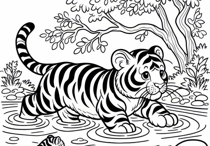 Tigre en el río: Plantilla de dibujo simple (Gratis)