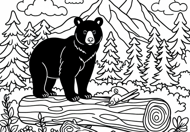 Americký čierny medveď omaľovánka jednoduchá zadarmo