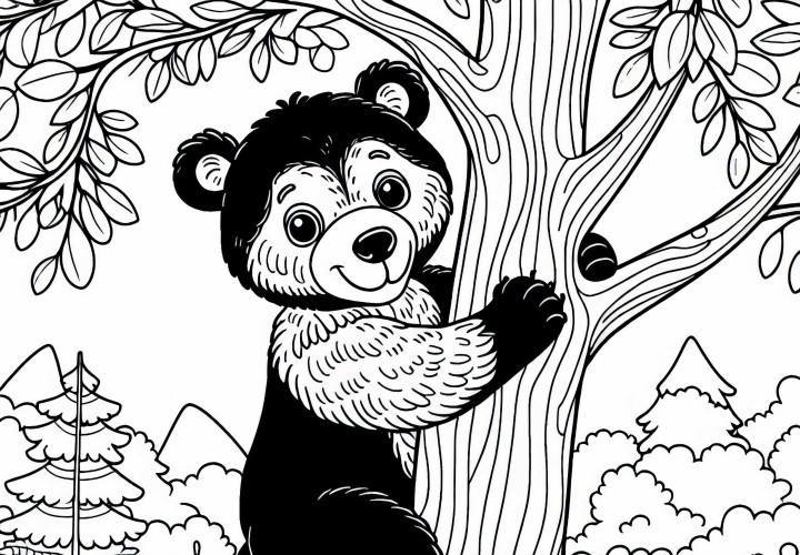 Americký čierny medveď lezie na strom – bezplatná maľovacia šablóna