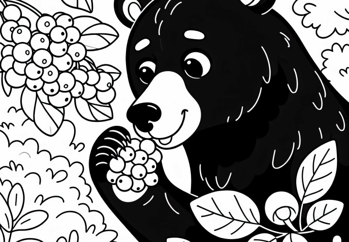 Americký čierny medveď je na kríku a zjeda bobule – jednoduchý obrázok na vymaľovanie zadarmo