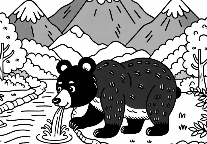 Urso negro asiático bebendo de um rio de montanha - Imagem para colorir gratuita