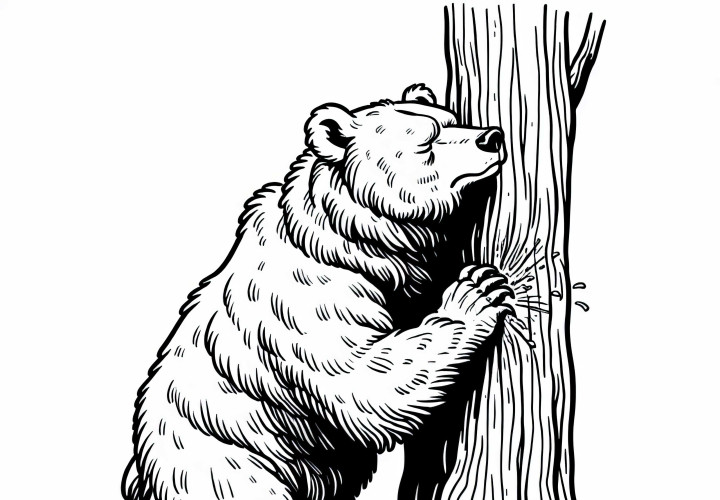 Grizzly medvěd se třese o strom - omalovánka zdarma