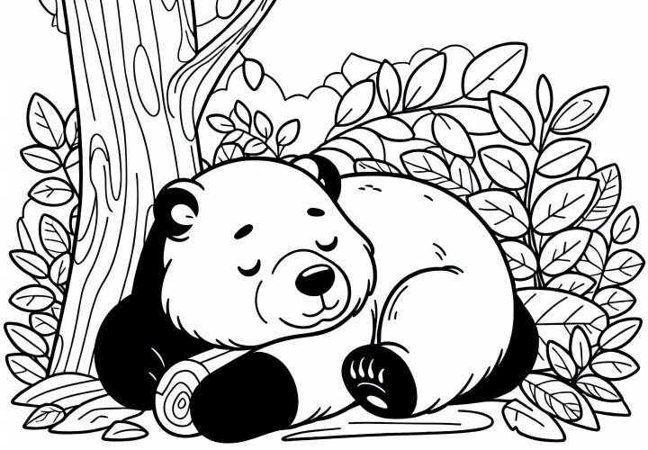 Beruang kacamata tidur – Template mewarnai sederhana gratis