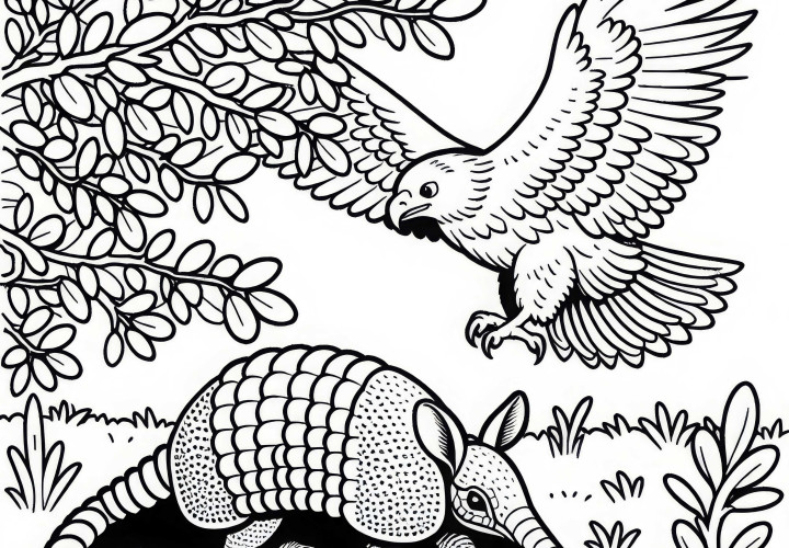 Armadillo je napadeno dravým ptákem – Volný omalovánka