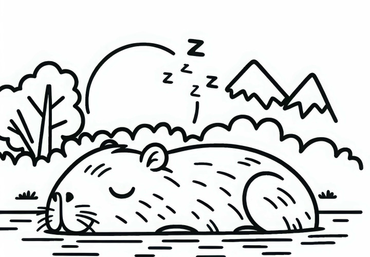 Capybara sleeping – Simple free coloring page