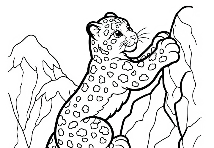 Snow leopard skillfully climbs along the rock face – Free coloring page Snow leopard skillfully climbs along rock wall - free coloring page