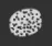 Sponge tool in Adobe Photoshop