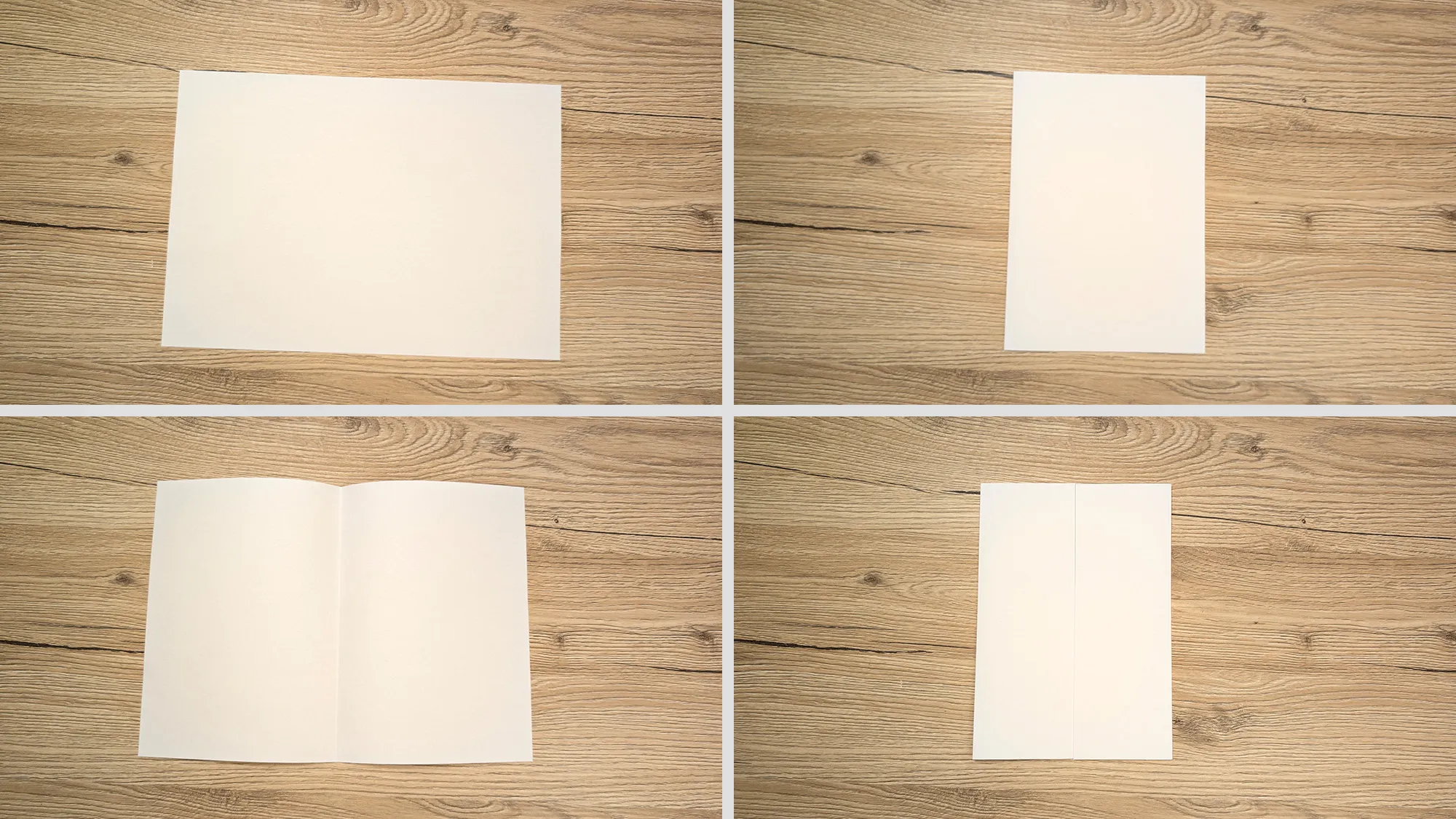 papier-schleuder-basteln-schritt-3.jpg Papier-Schleuder basteln Schritt 3: Papierblatt in der Mitte gefaltet und beide Kanten zur Mittellinie gefaltet