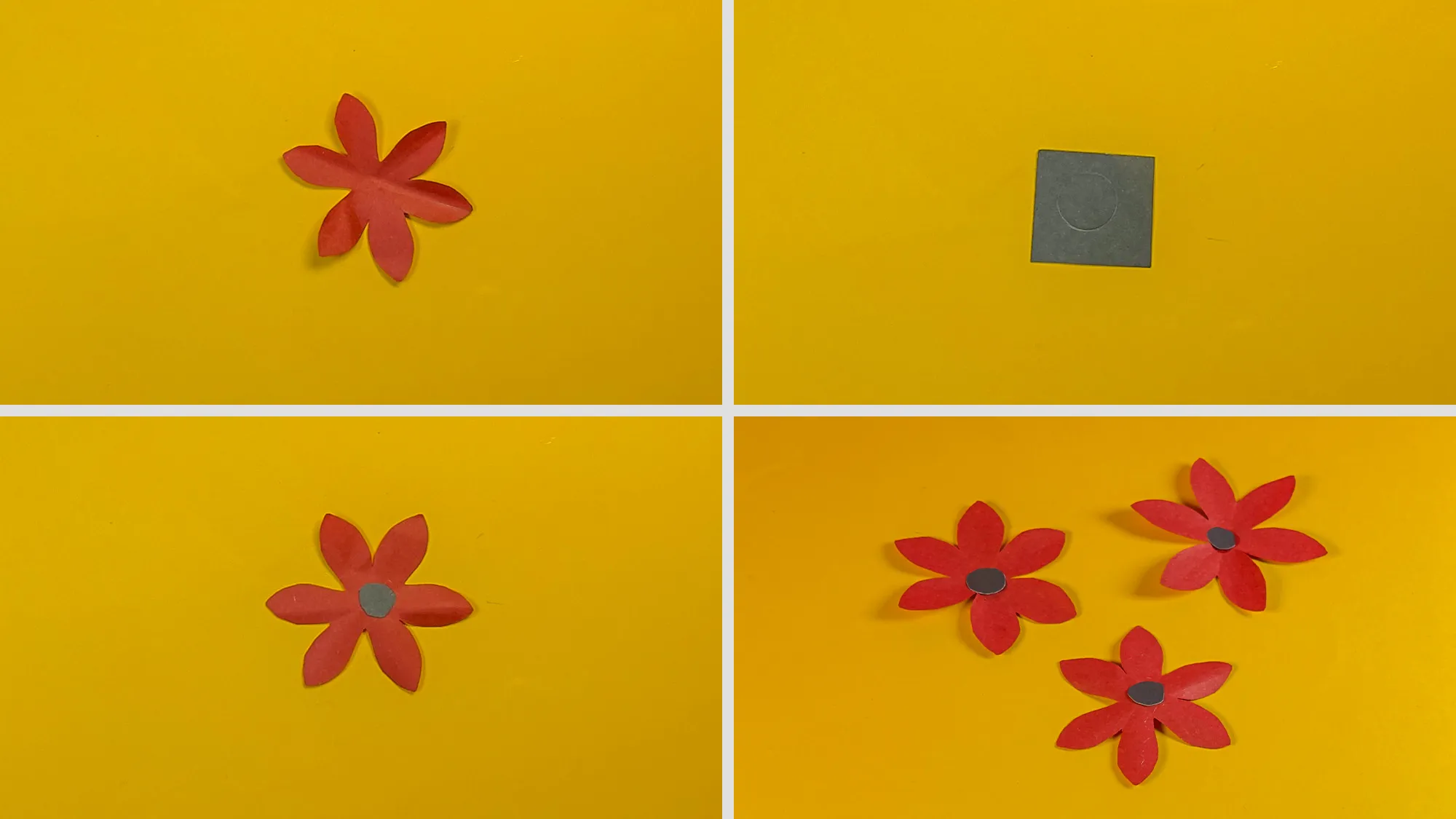 Niedliche Papierblumen basteln Schritt 3: Kleiner Kreis in die Blütenmitte geklebt – fertige Papierblume