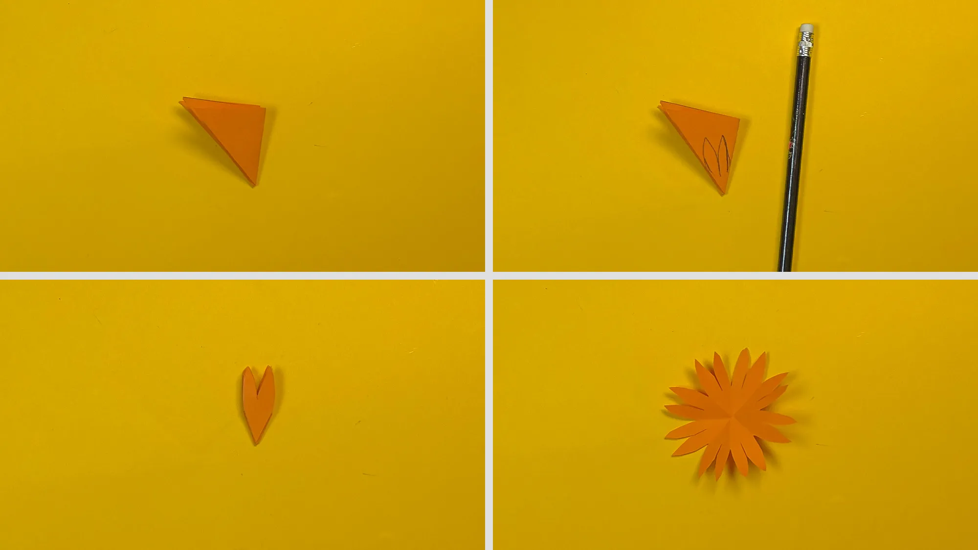 Schöne Papierblume basteln Schritt 2: Blütenblätter auf gefaltetes Papier gezeichnet und ausgeschnitten