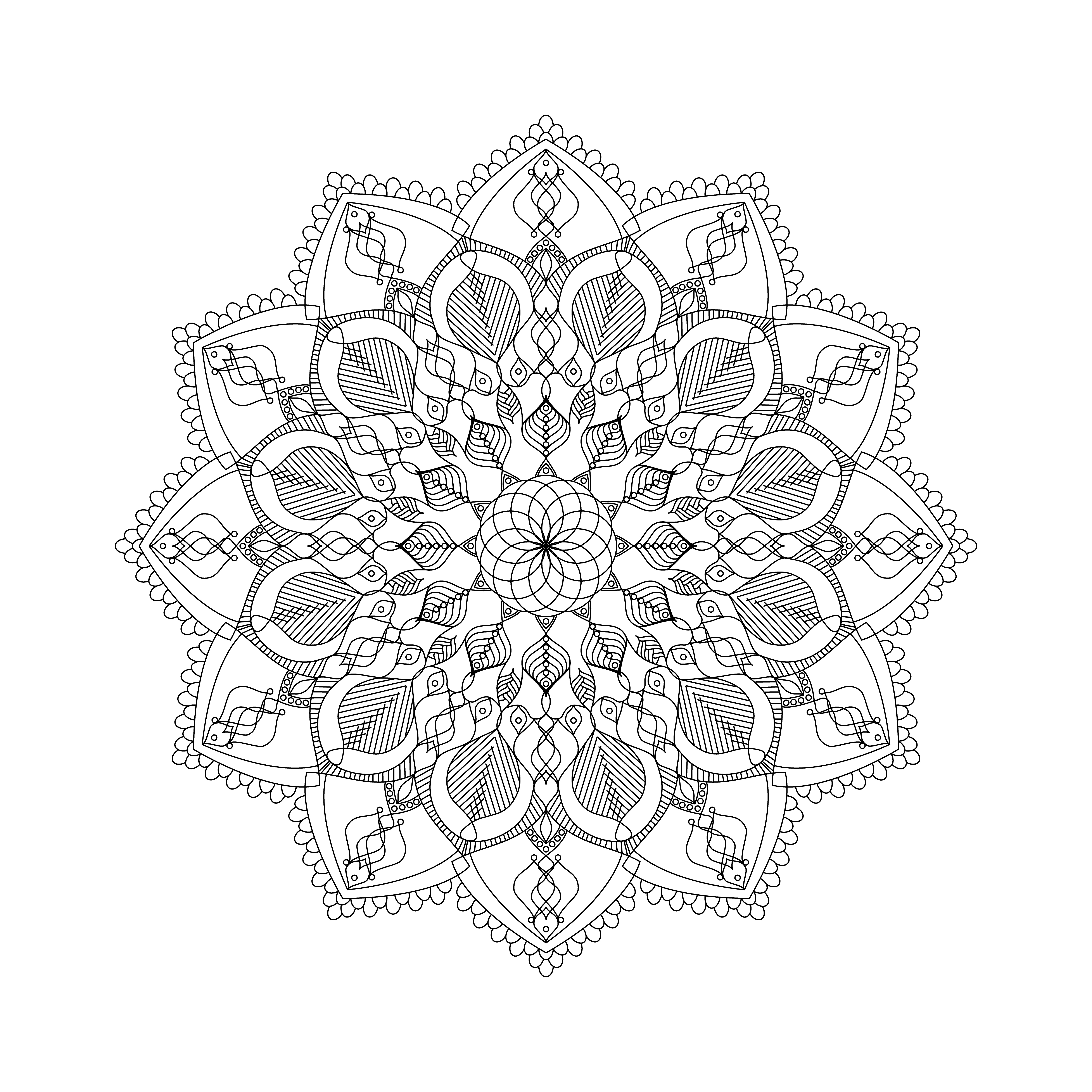 Beautiful structures: Mandala template with ornaments (Free)