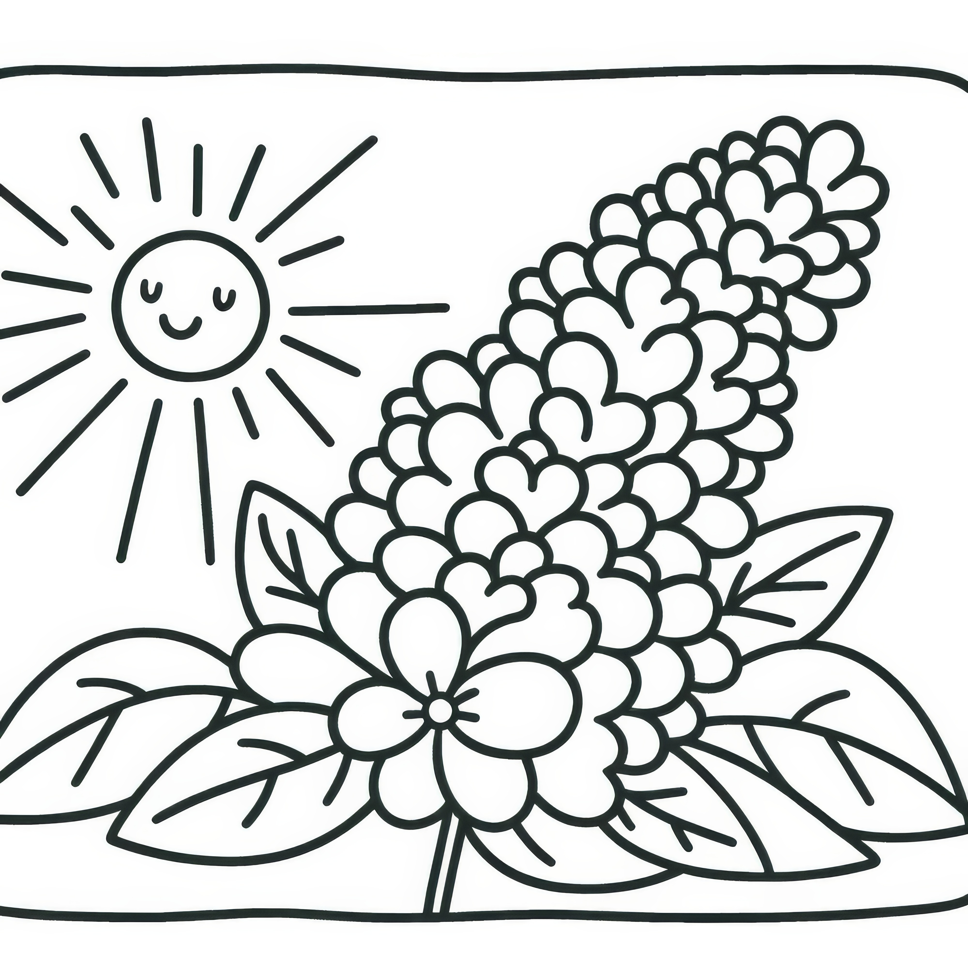 紫陽花の花が太陽の光を浴びています：子供向けの塗り絵（無料）