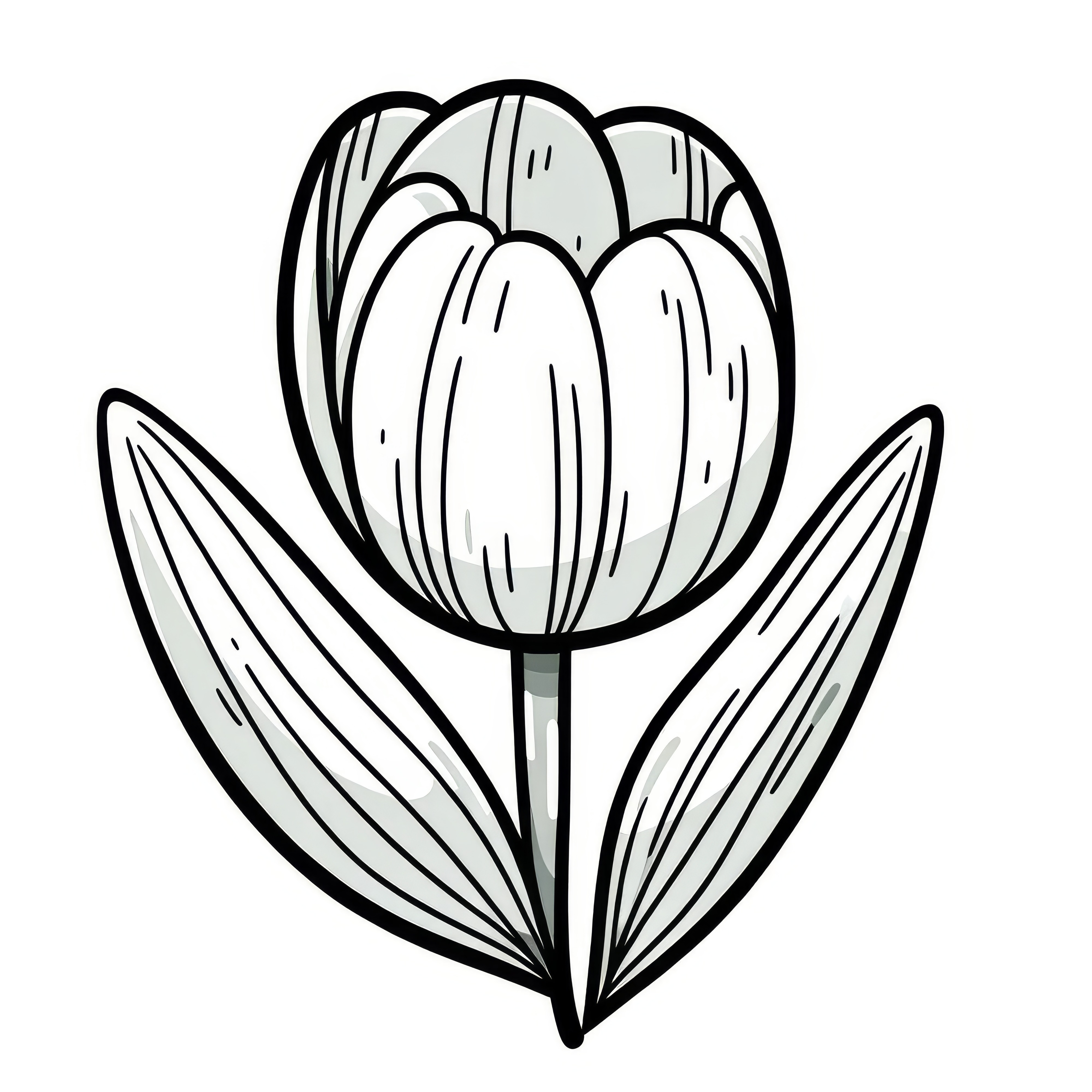 Tulipán jako omalovánka ke stažení (zdarma)