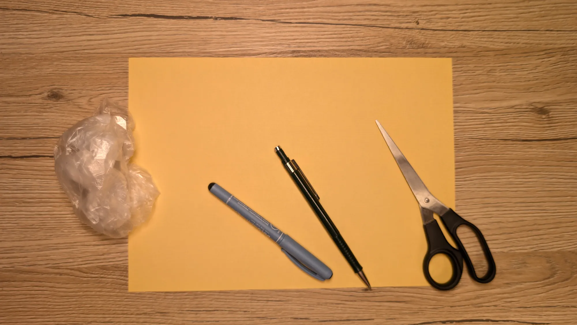 Origami Capybara: The instructions with photos and text description. The picture 1