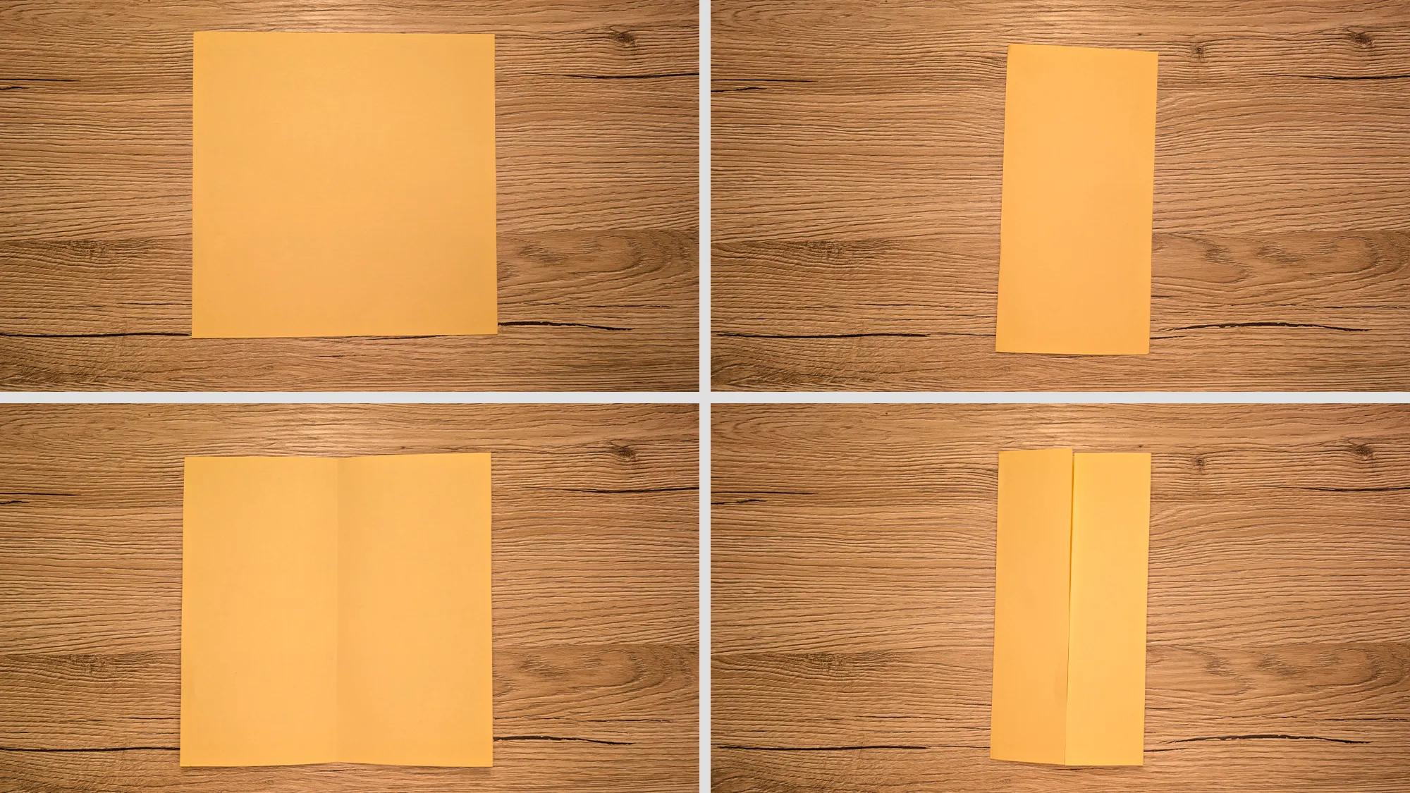 Origami Capybara: The instructions with photos and text description. The picture 2