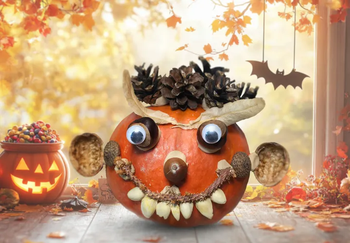 Wajah labu Halloween dari bahan alami: Panduan dengan video dan foto