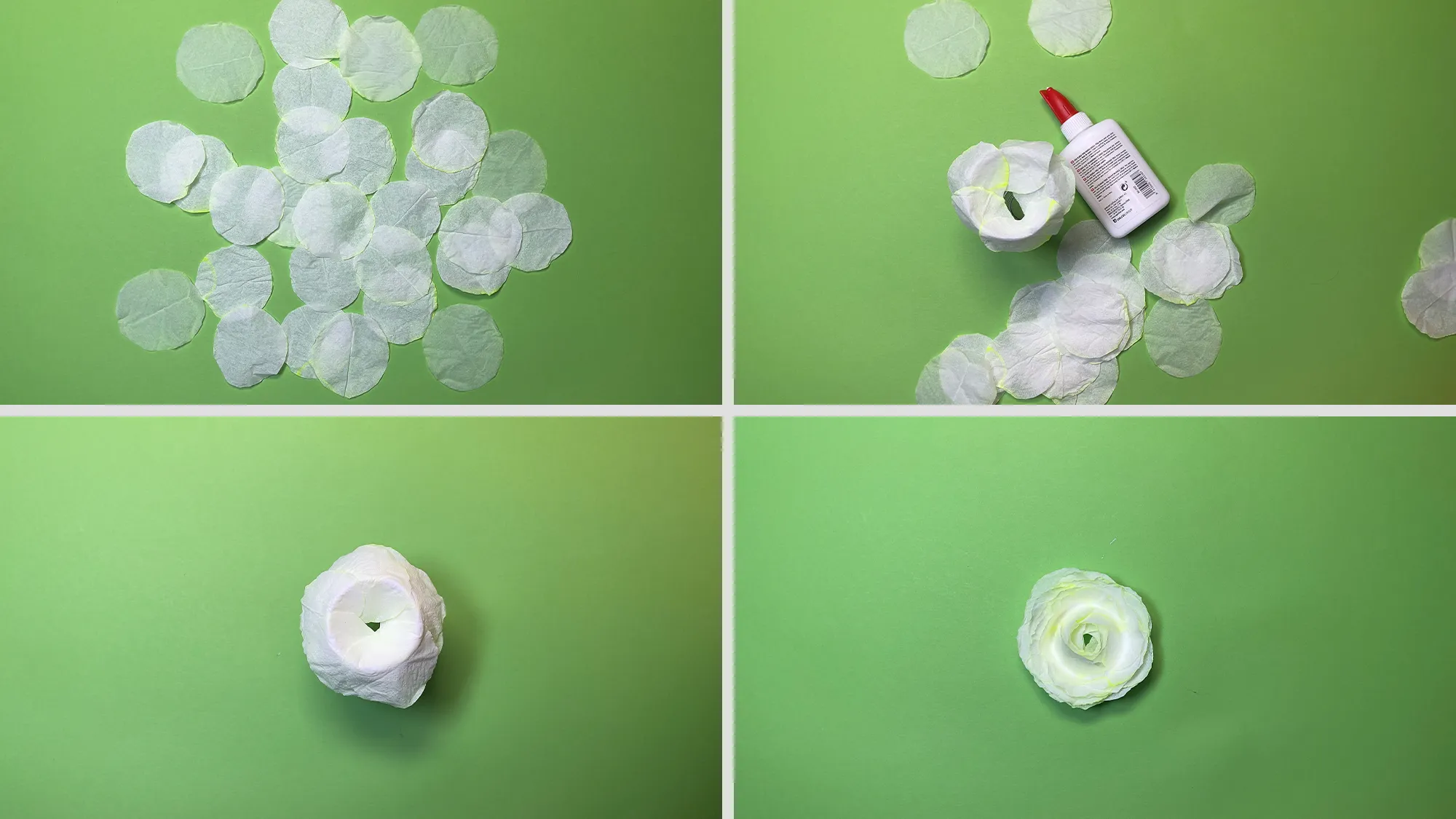 Růže na zahradním plotě: Návod krok za krokem s fotografiemi a popisem. Obraz 1