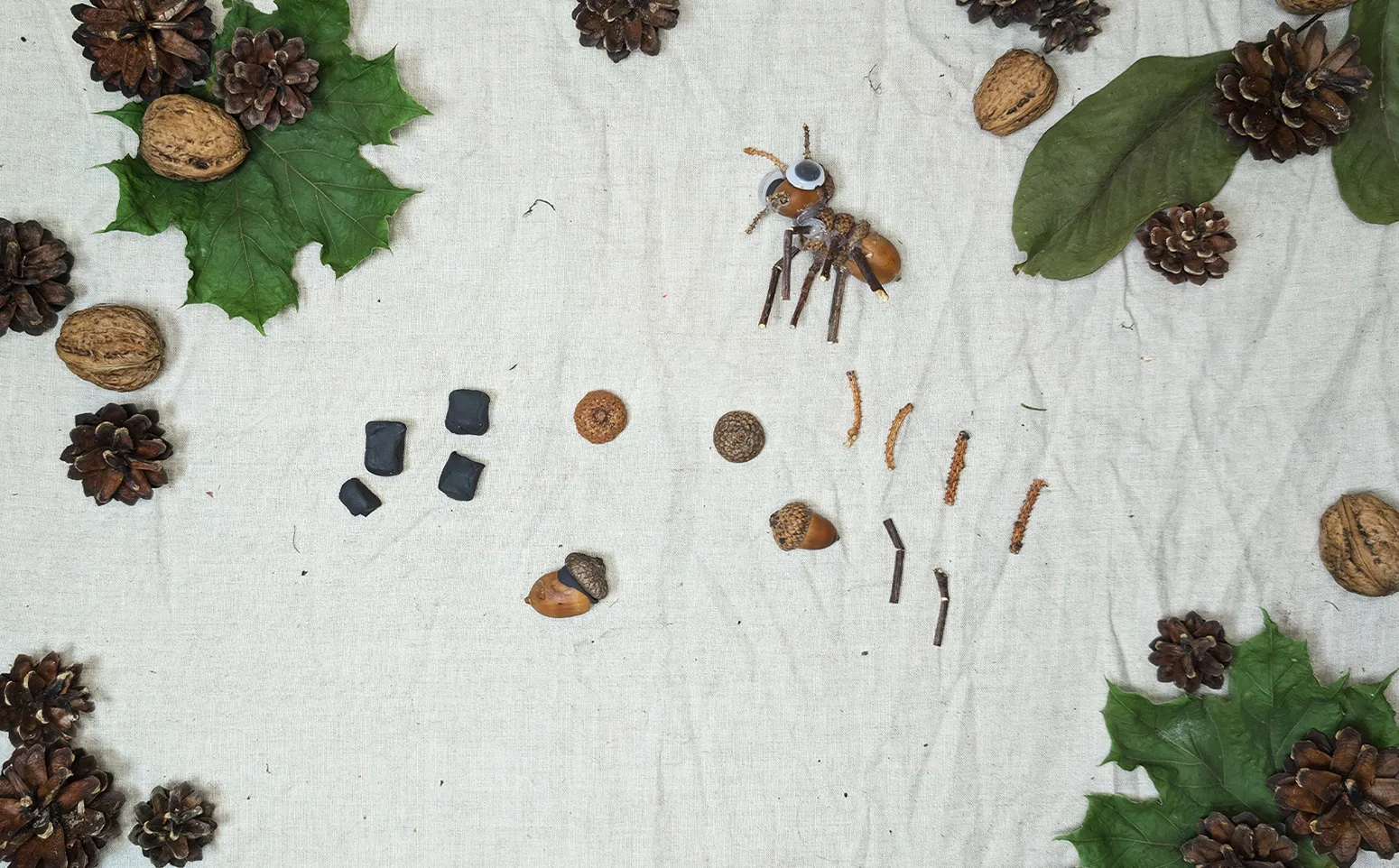 Step 1: Connect acorn and cone