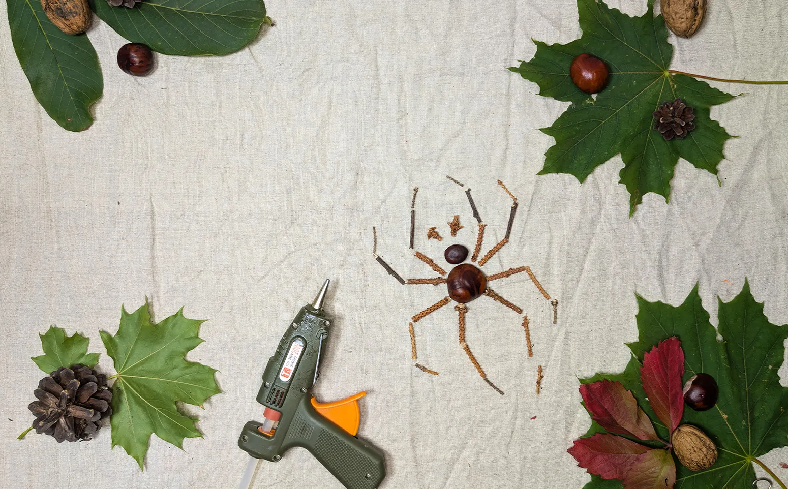 밤으로 만든 거미, 1단계: 재료 준비하기