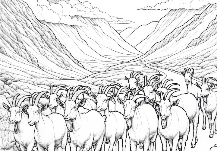 Cabras caminando por la carretera de montaña: Imagen para colorear de alta calidad (Gratis) Cabras corren por la carretera de montaña: Dibujo para colorear de alta calidad (Gratis)