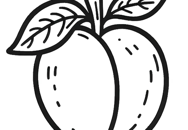 Simple coloring pictures of apricots - Free download