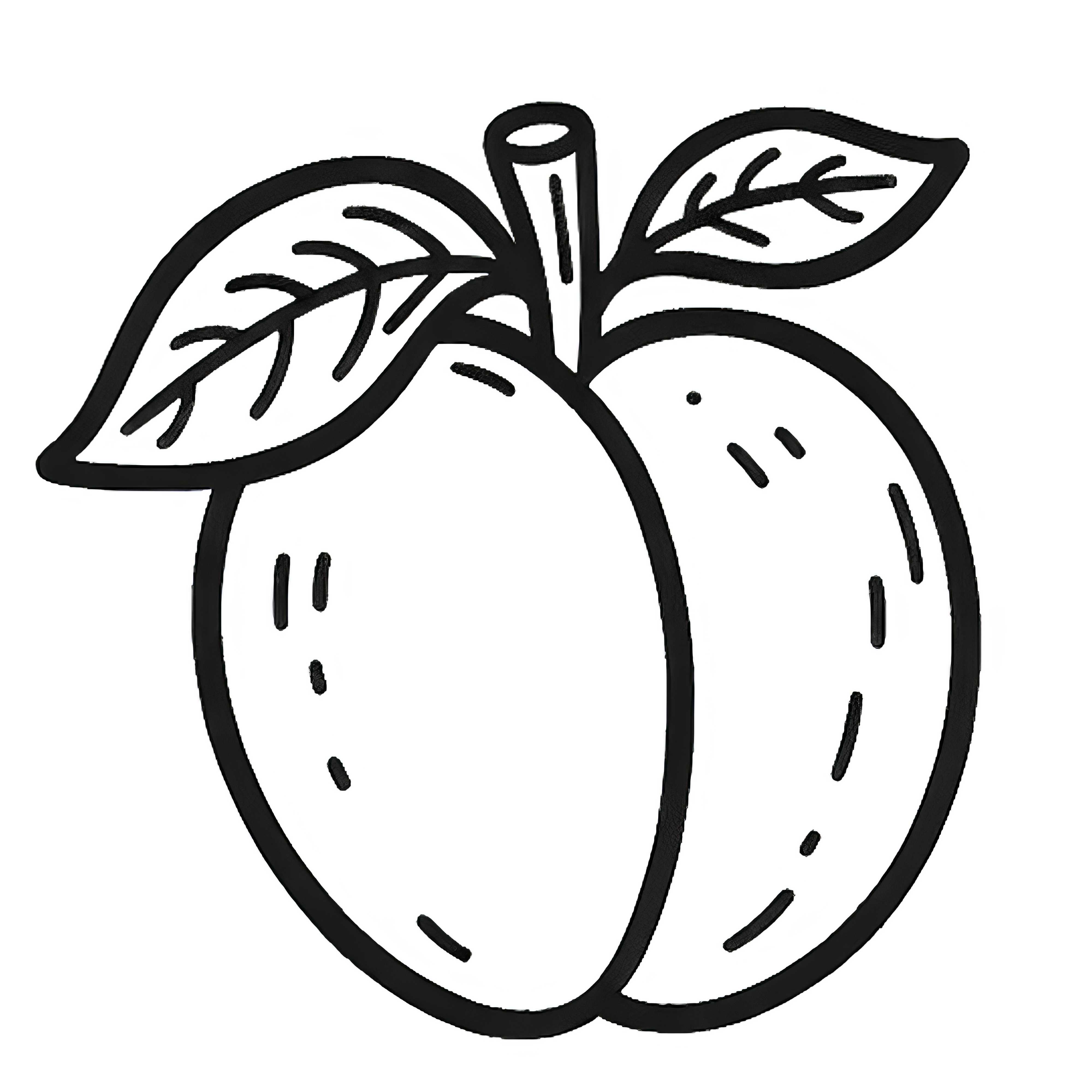 Simple coloring pages of apricots &ndash; Free download