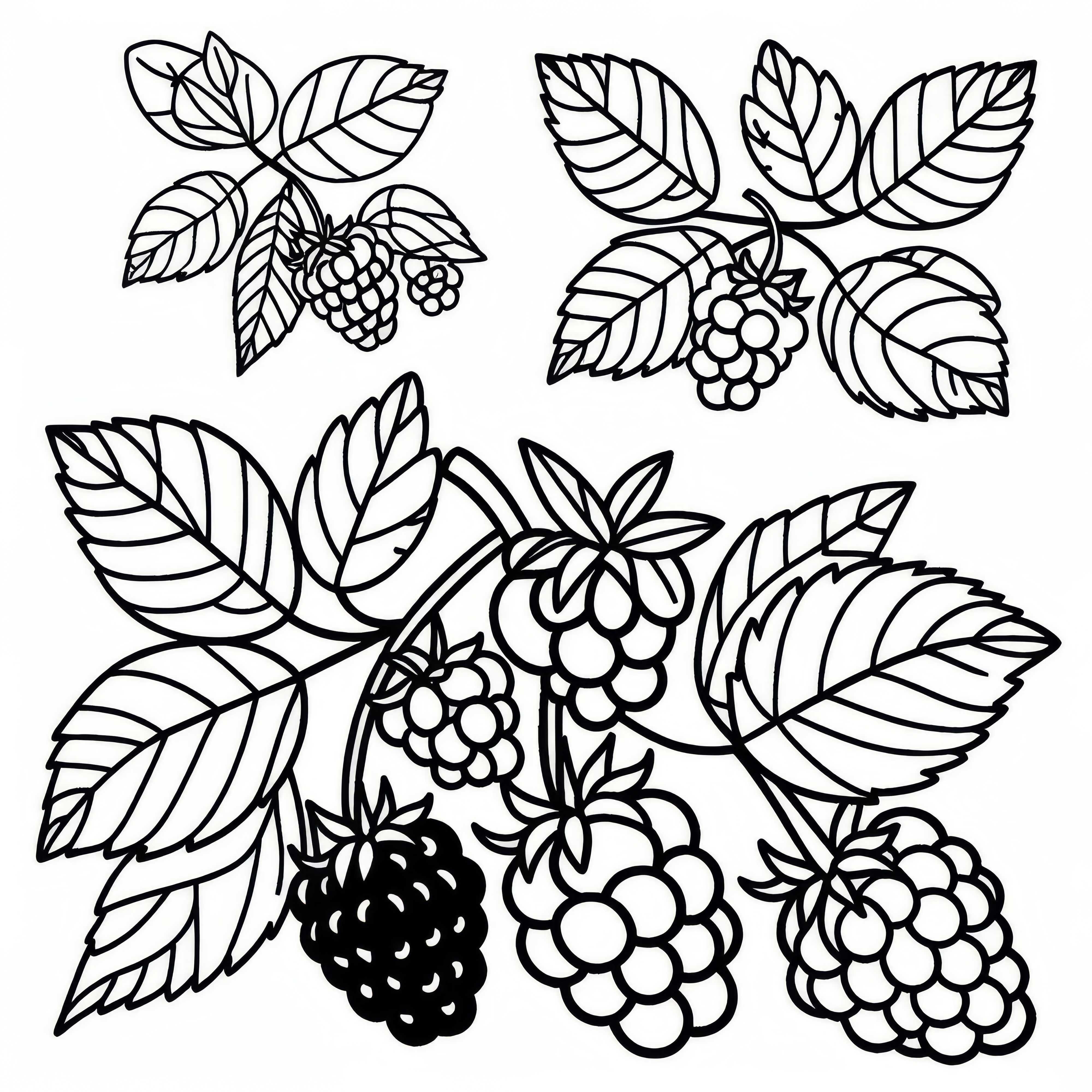 Free Boysenberry Coloring Page