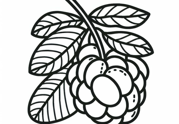 Free Camu Camu coloring page