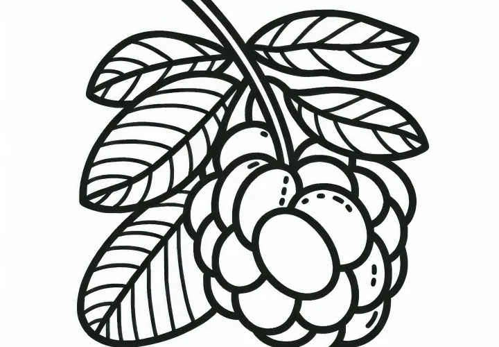 Free Camu Camu coloring page
