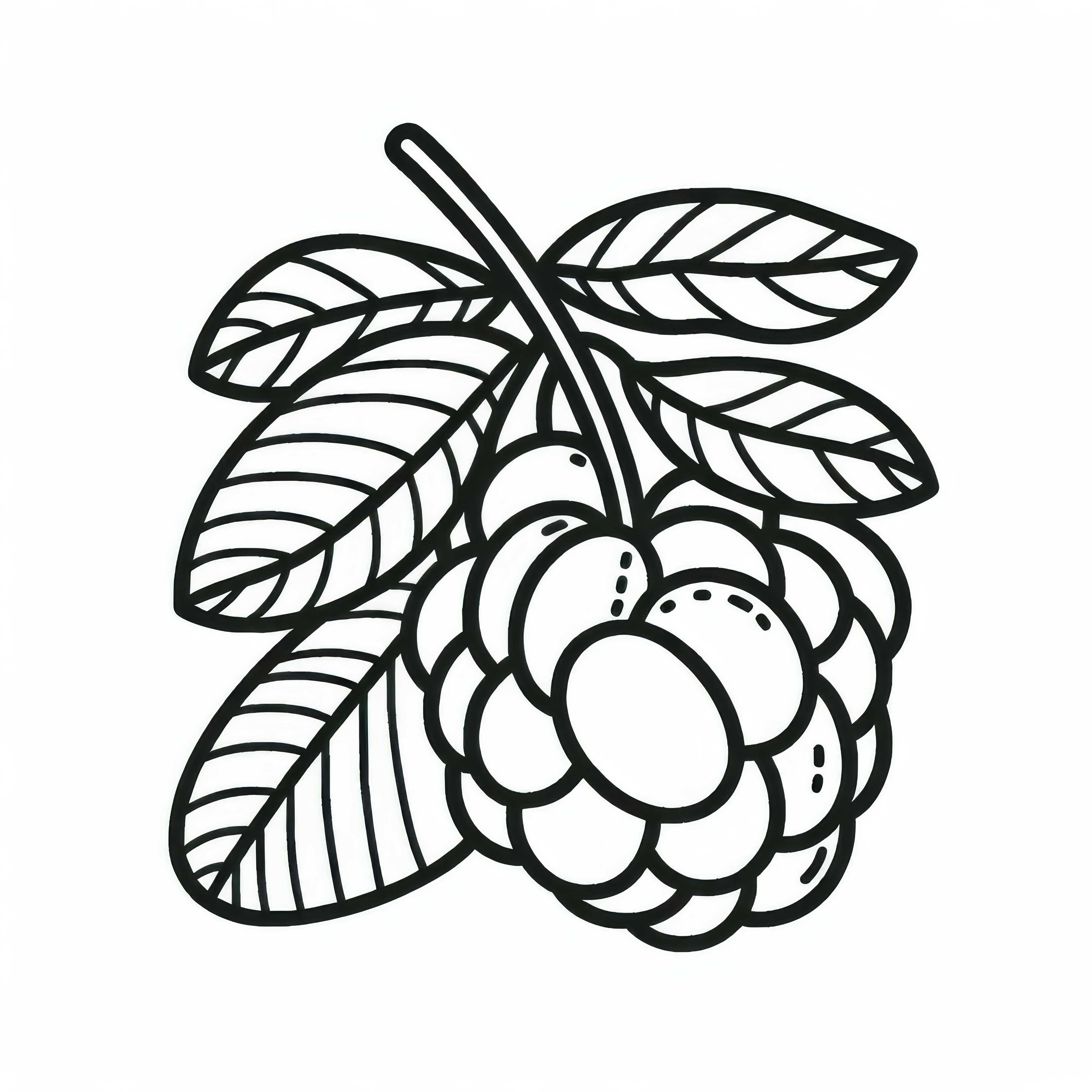 Camu Camu coloring page free