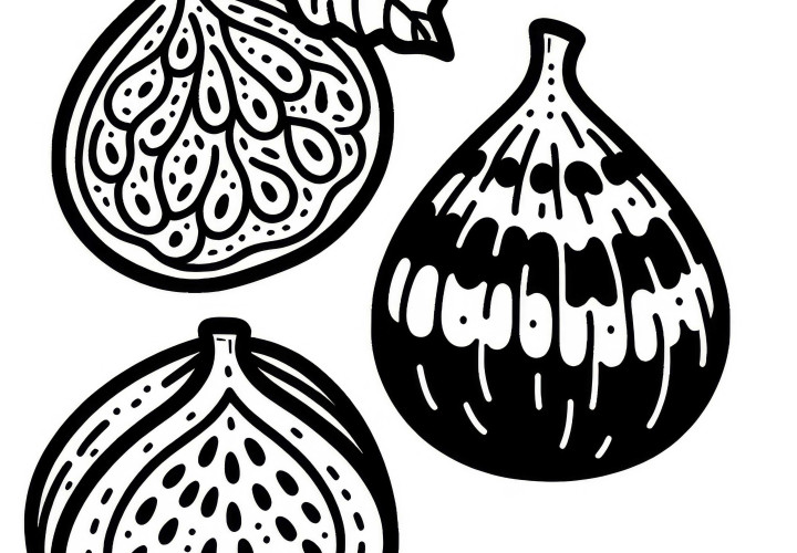 Free fig coloring page to print and color online