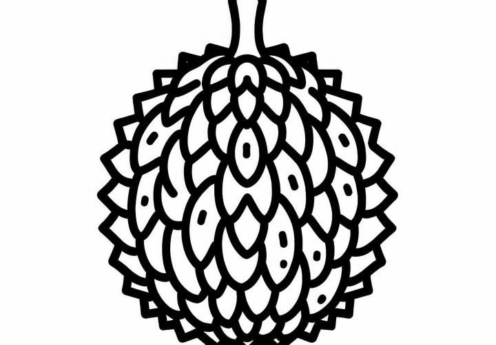 Free coloring pages of Durian available