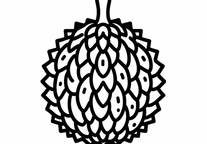 Free coloring pages of Durian available