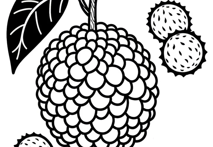 Cempedak Coloring Page Free