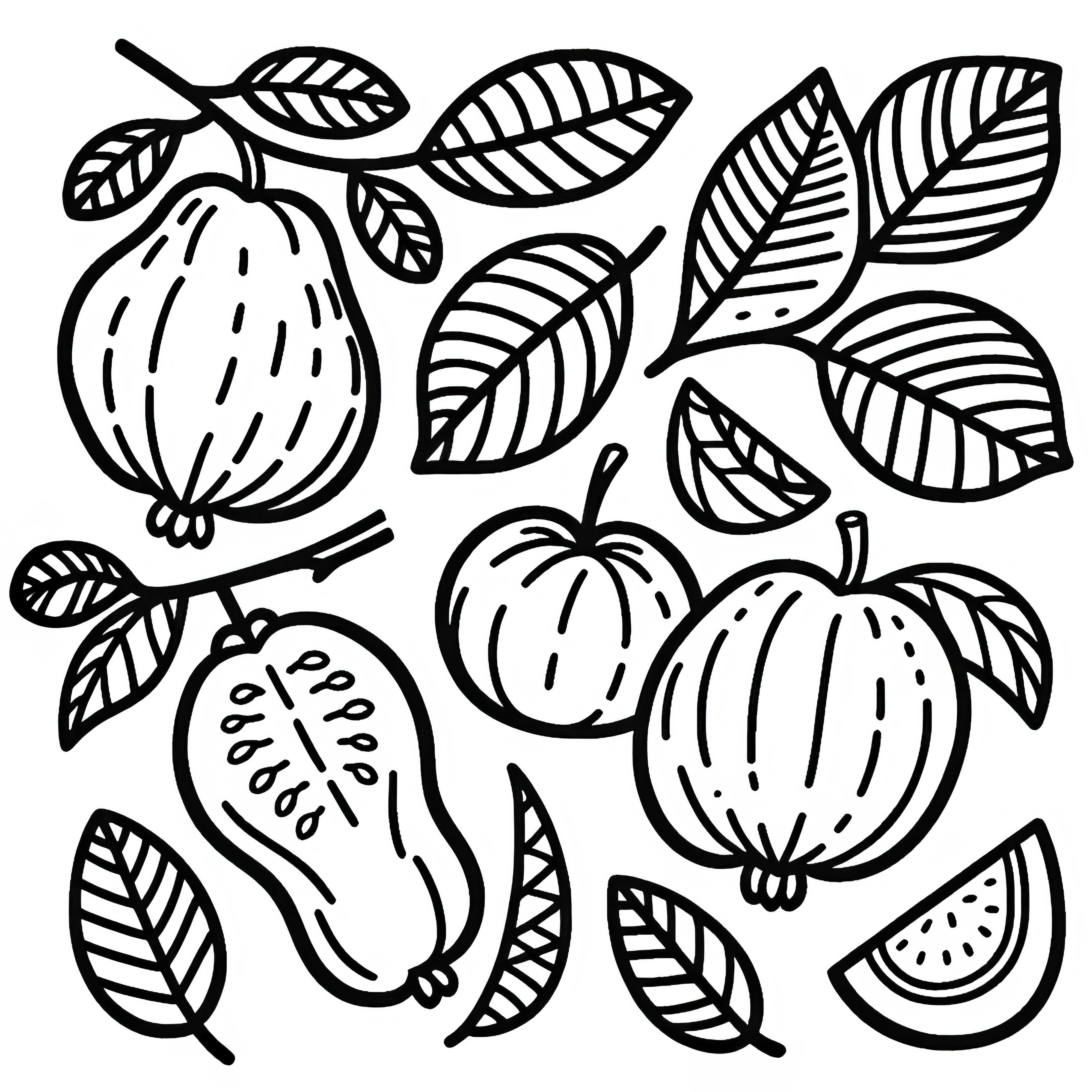 Free Download and Color Guava Coloring Page