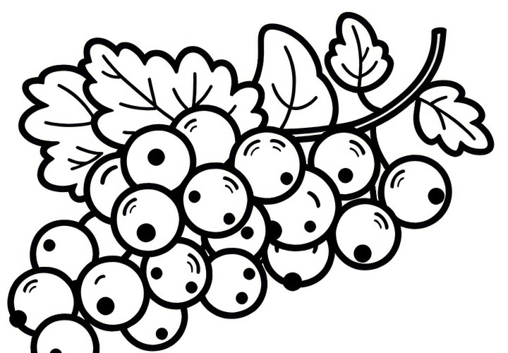 Free coloring page of currants to download