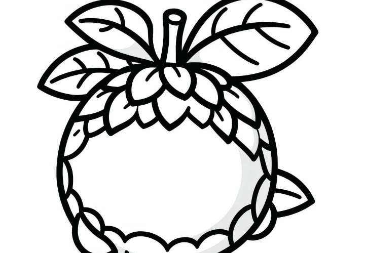 Pulasan Coloring Page Free