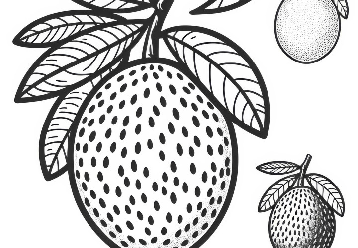 Free Sapodilla Coloring Page to Download