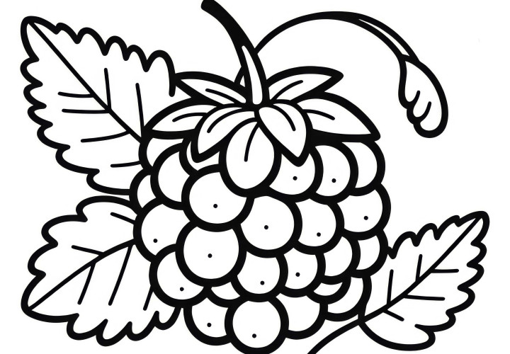 Tayberry Coloring Page Simple Free - Color and Download Now