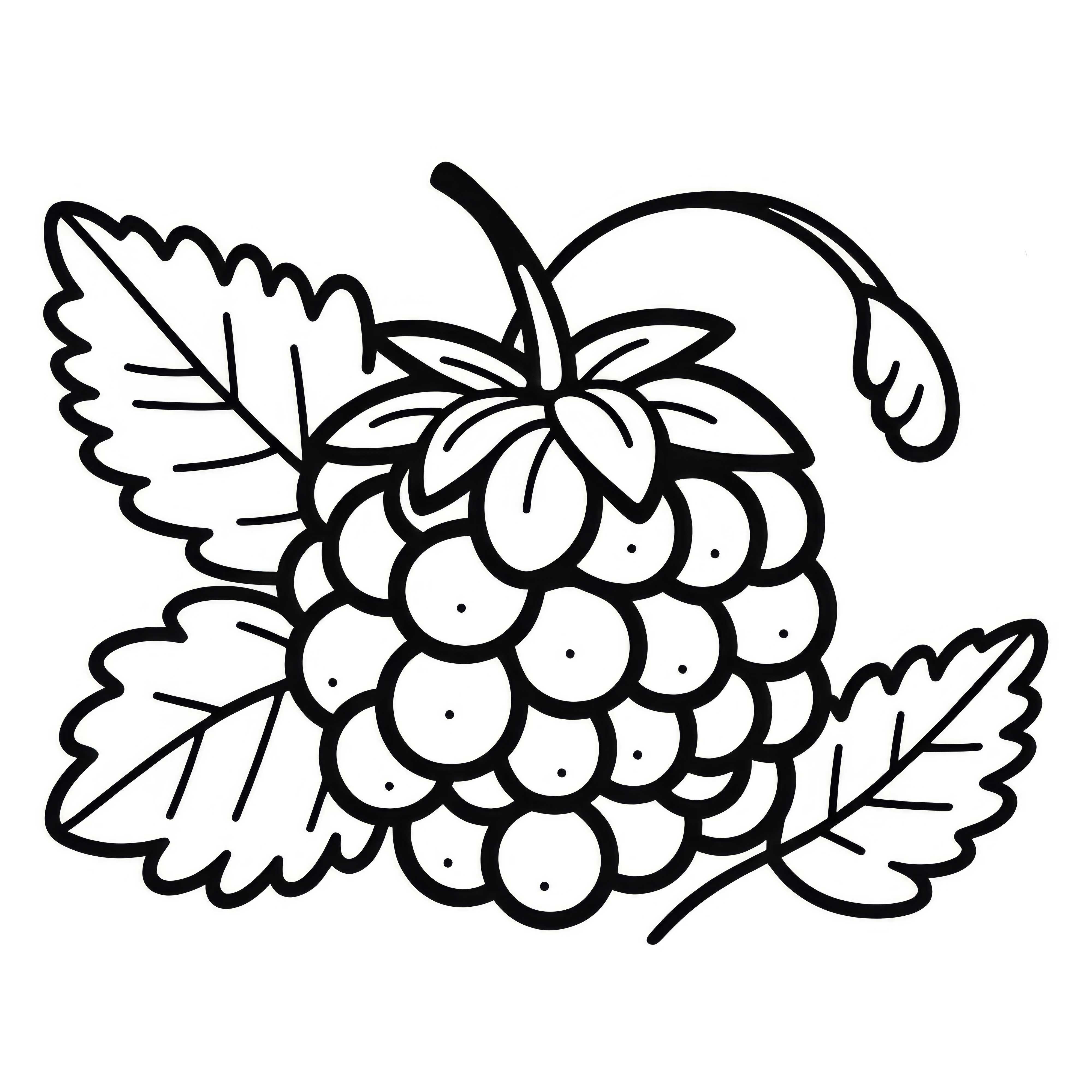 Tayberry Coloring Template Simple Free - Color and Download Now